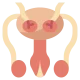 reproductive-system_2047618